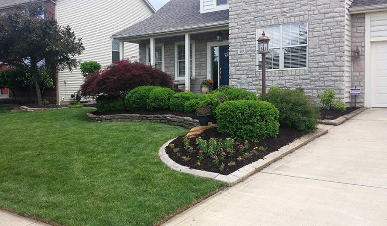 Landscaping and Lawn Care | Davis Lawn Care and Landscaping Service