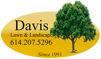 Lawn Care Fredericksburg VA