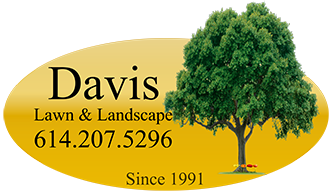 Davis Lawn Care and Landscaping Service
